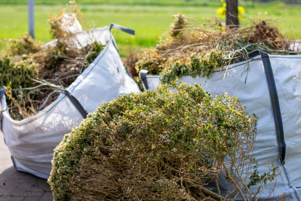 Shed Removal in Mound City, MO